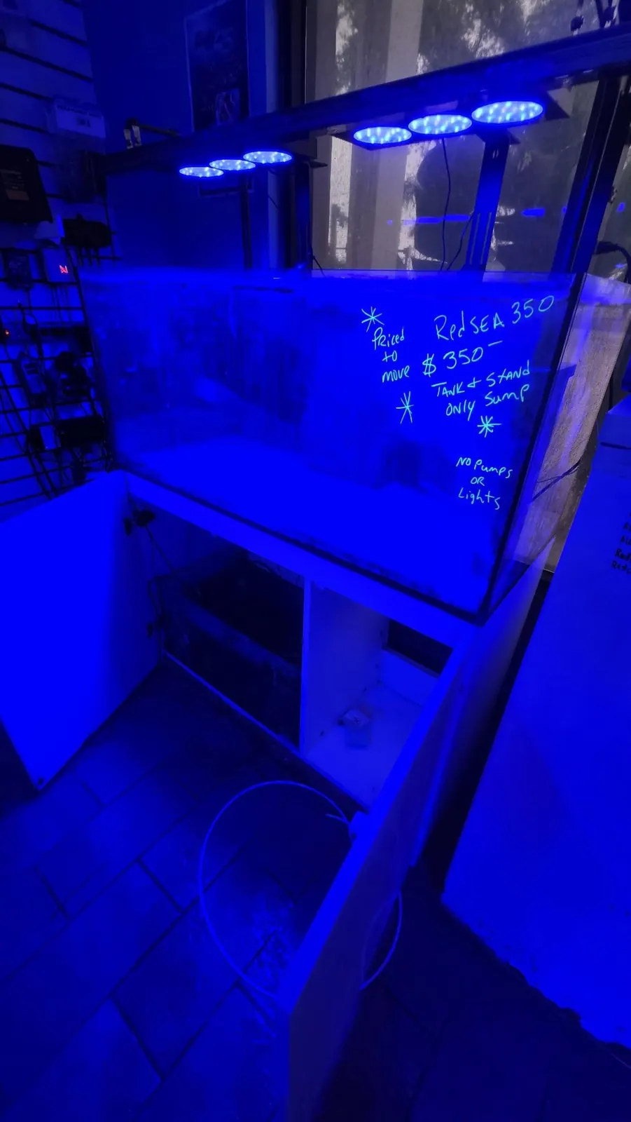 A row of blue-lit tanks with handwritten labels inside the store