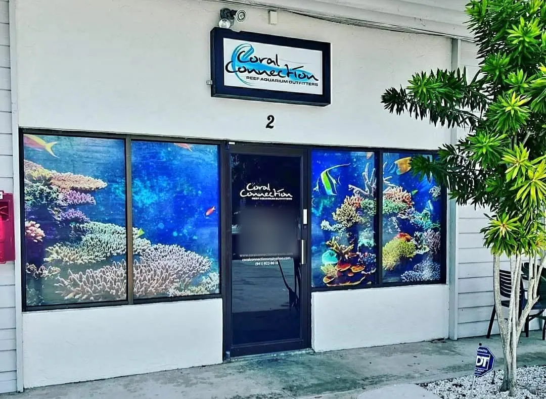 Coral Connection storefront at 2828 Clark Rd Suite 2, with reef murals on the windows and the Coral Connection sign above the door