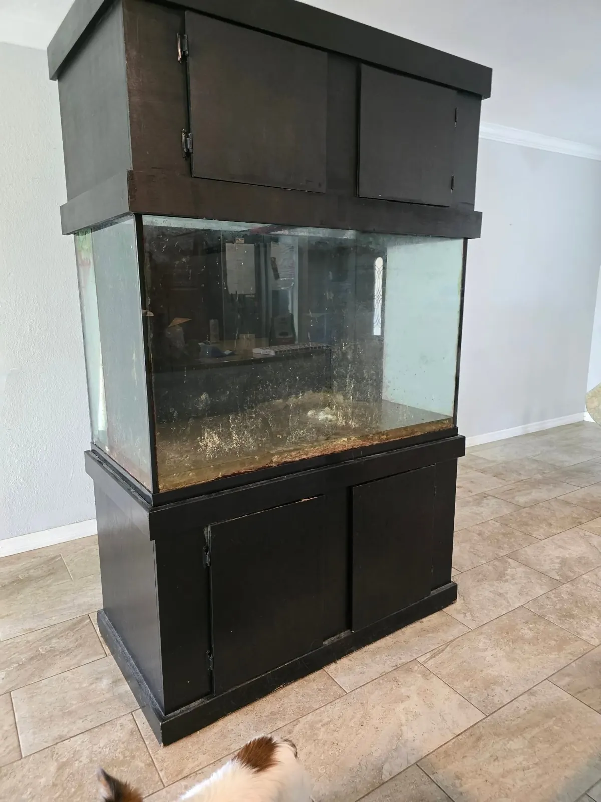 Aquarium on a cabinet stand